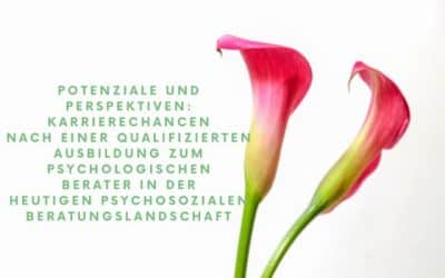 Potenziale und Perspektiven: Karrierechancen nach einer qualifizierten Ausbildung zum psychologischen Berater in der heutigen psychosozialen Beraterlandschaft