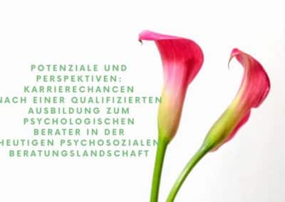 Potenziale-und-perspektiven-psychologischer-Berater