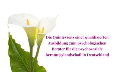 Die Quintessenz einer qualifizierten Ausbildung zum psychologischen Berater für die psychosoziale Beratungslandschaft in Deutschland