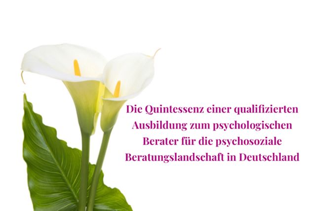 Qualifizierte Ausbildung zum psychologischen Berater in der psychsozialen Beraterlandschaft in Deutschland