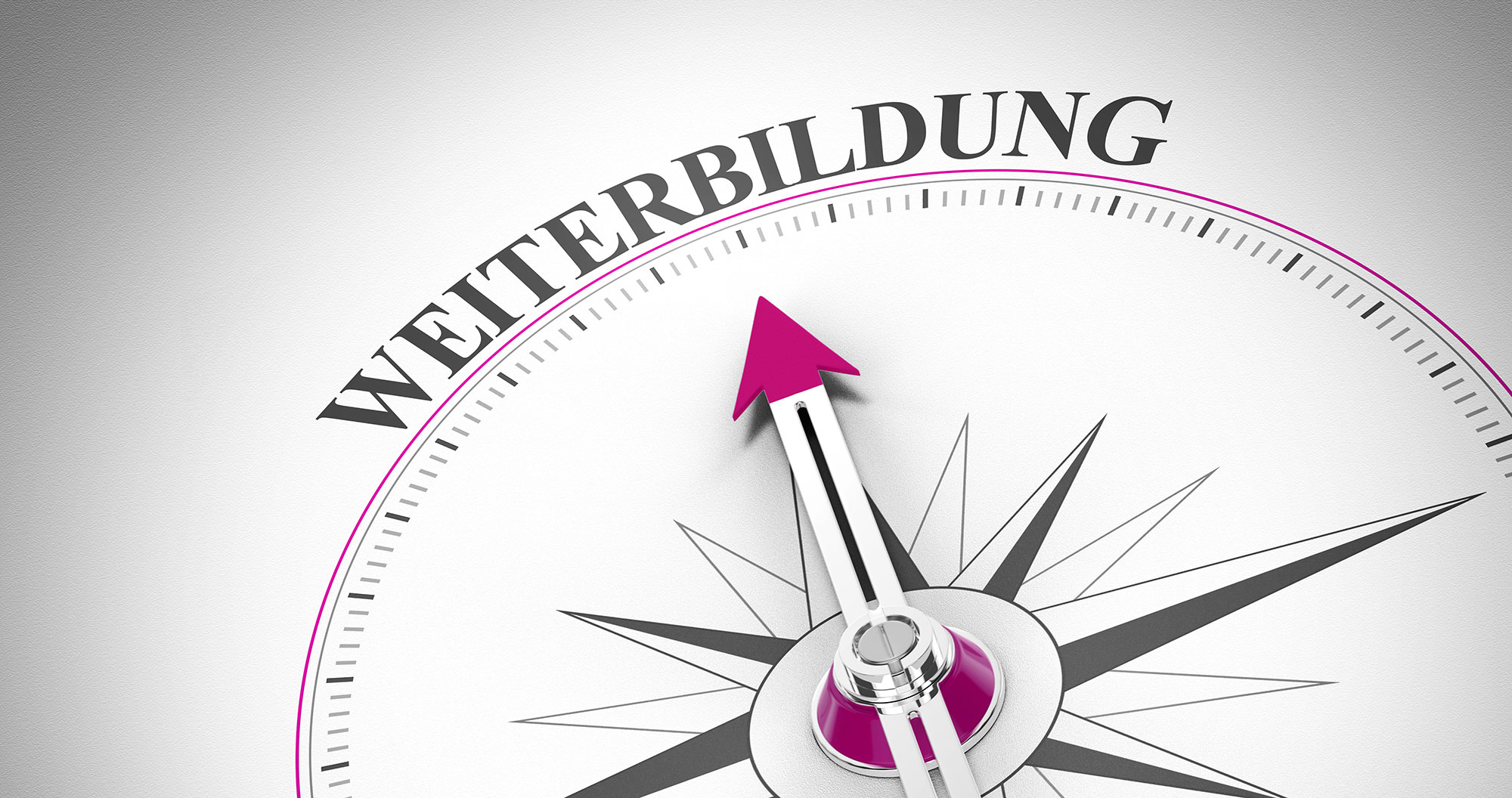 Zusatzmodule & Weiterbildung – Spezialisierung für Absolventen und erfahrene Berater an der Akademie Psychologische Berater